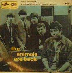 The Animals : The Animals Are Back